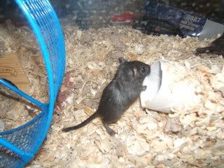 DSCF1310.jpg