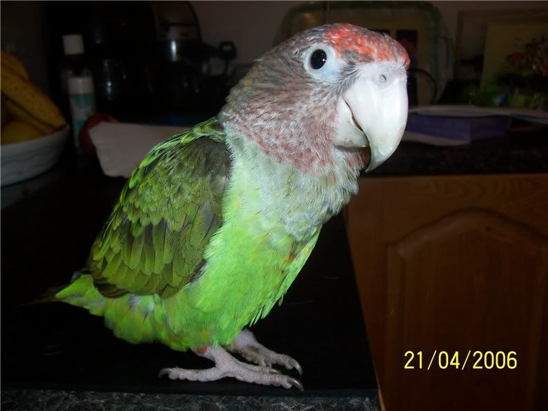 210406jake.jpg