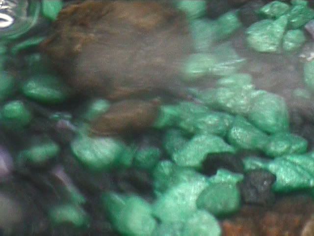 DVC00632.jpg