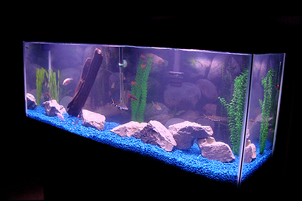 tank1.jpg