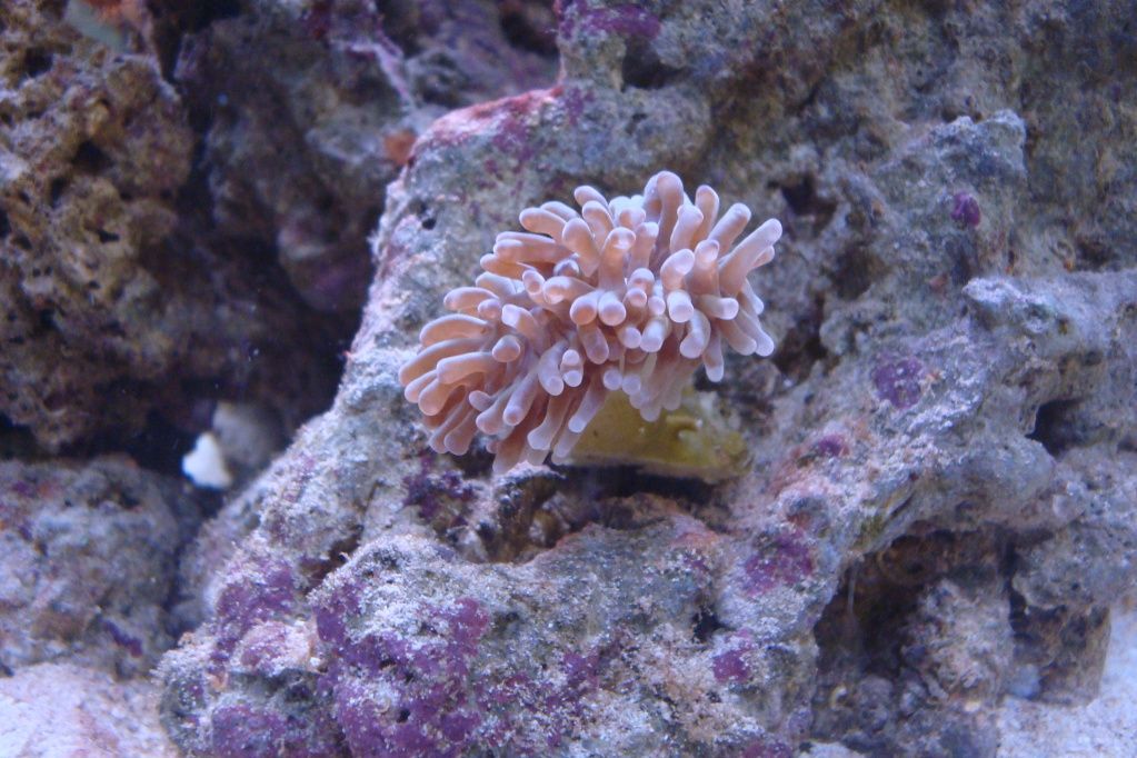 DSC02814.jpg