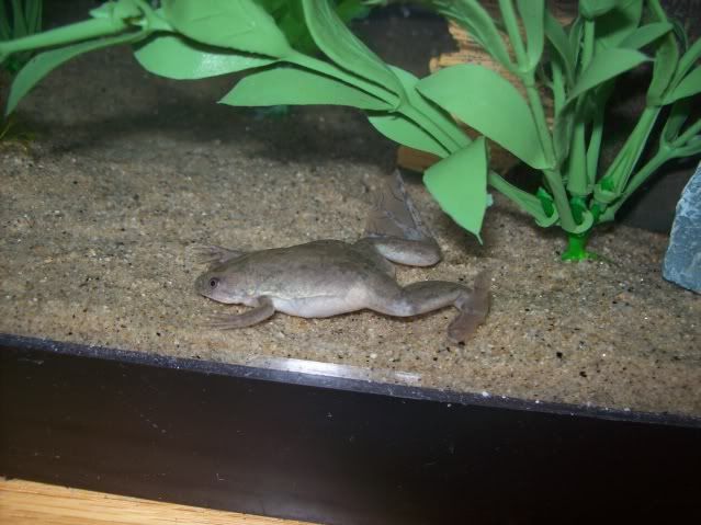 100_3303.jpg