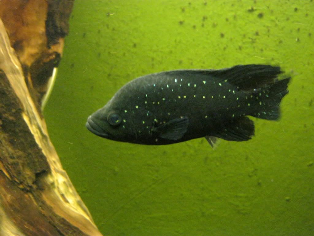 IMG_0357.jpg