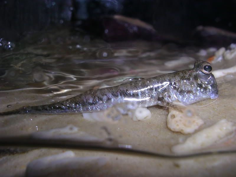 DSCN2986.jpg