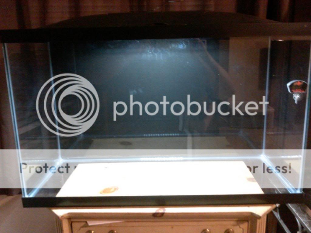 CAM00722.jpg