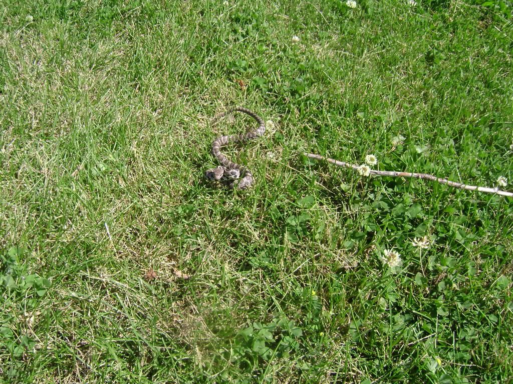 005-5.jpg