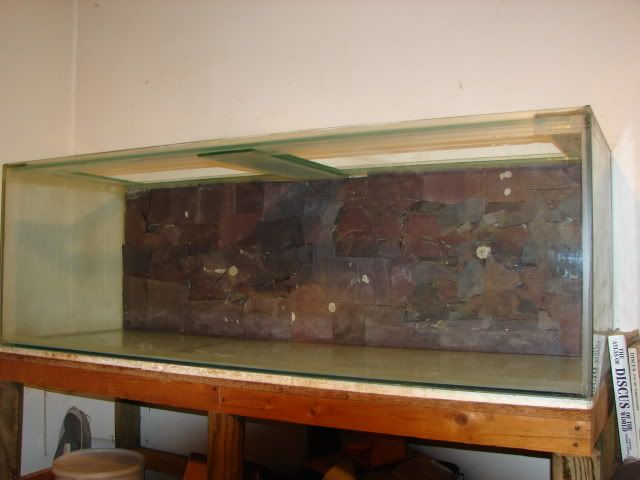 DSC00034.jpg