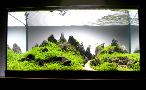 mountainscape2.jpg