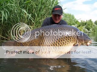 Carp.jpg