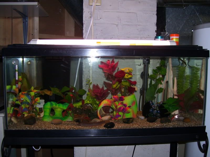 20gallon.jpg
