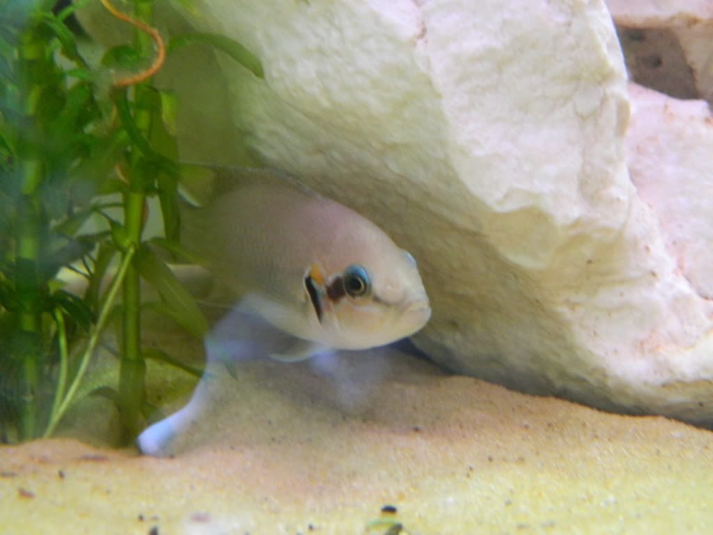 DSCN1182.jpg