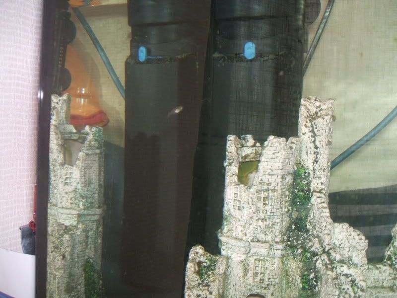 DSCF0912.jpg