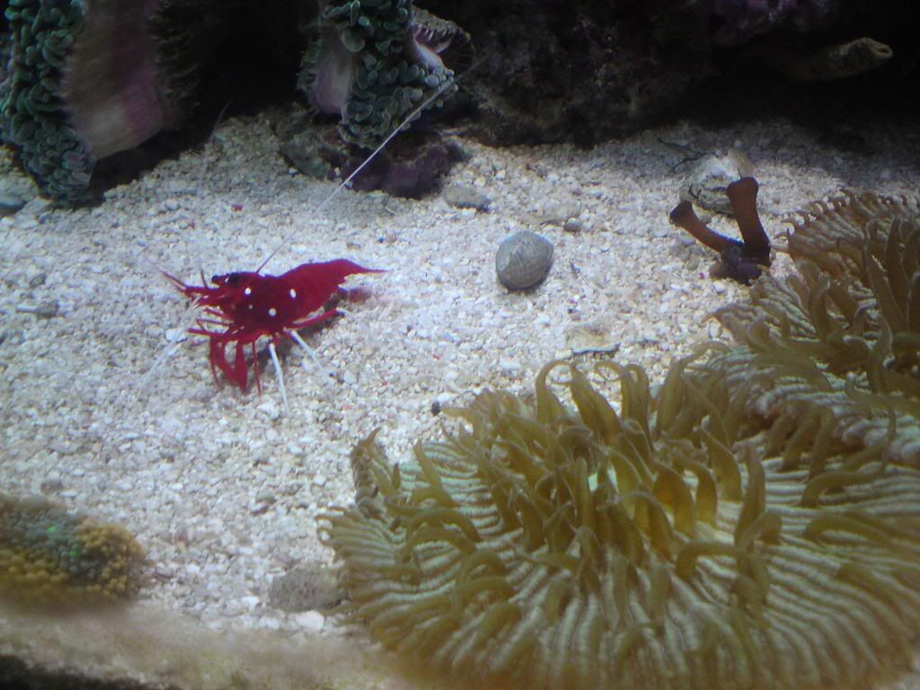DSC00030.jpg