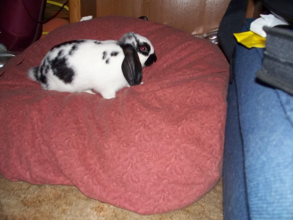 100_0418.jpg