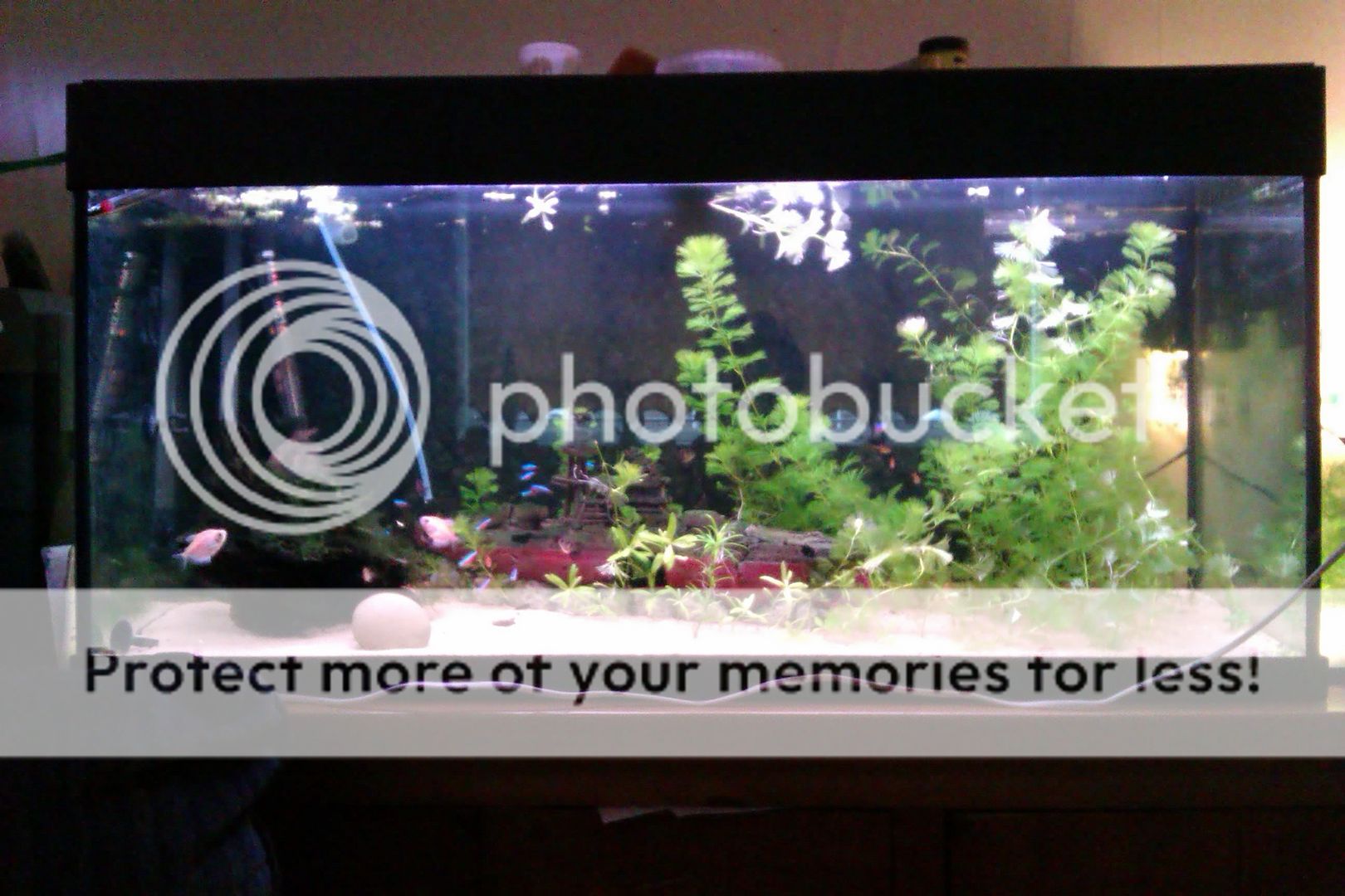 IMAG0083.jpg