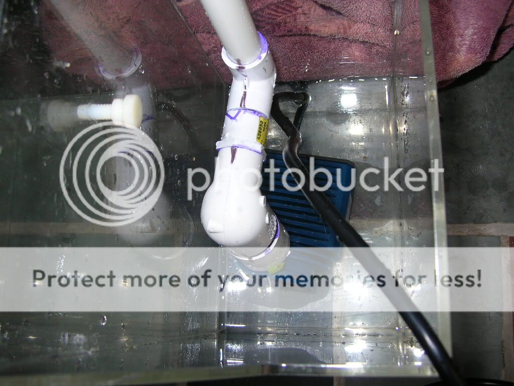 DSCN3624.jpg