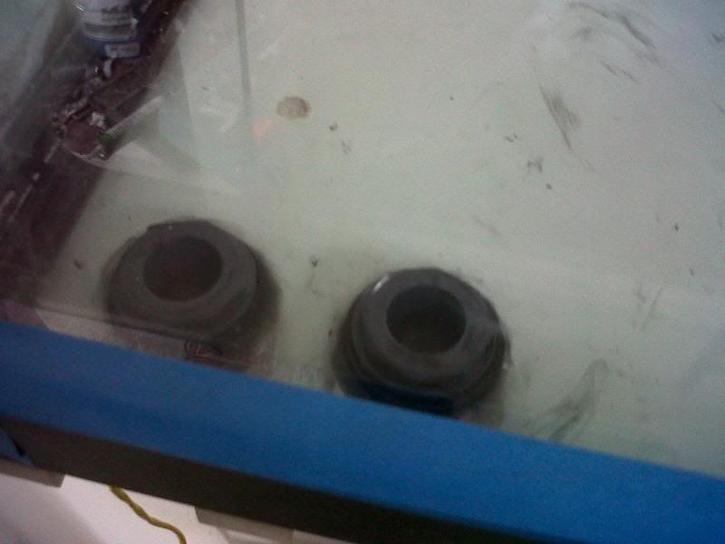 IMG00119-20100803-1235.jpg