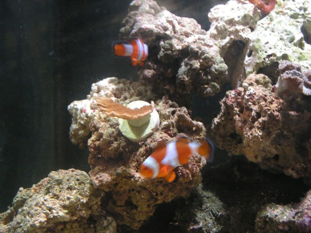 PICT1075.jpg