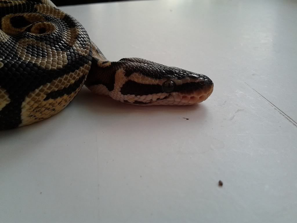 2012-07-14183543.jpg