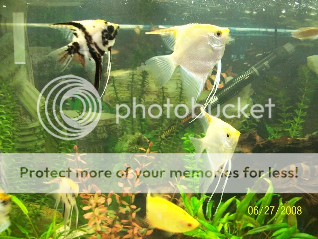 100_0110.jpg