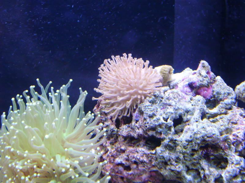 PB140240.jpg