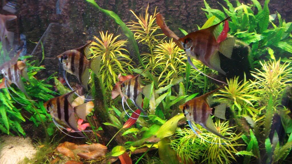 DSC00143.jpg