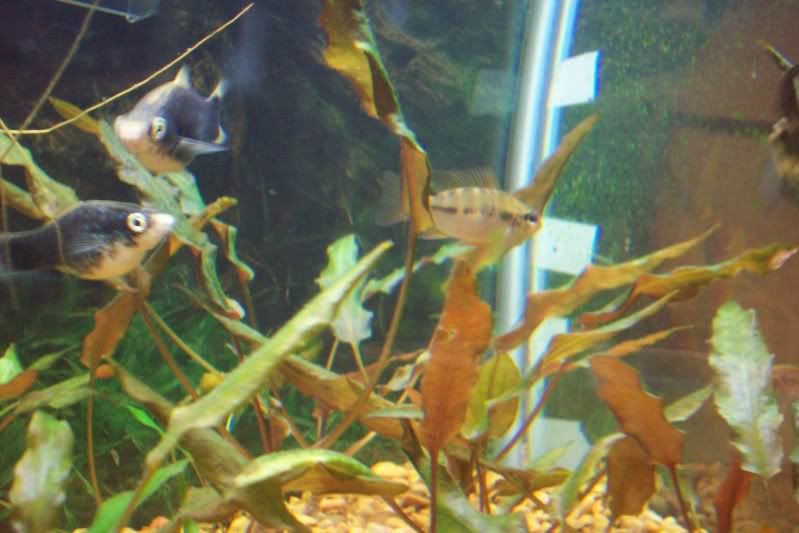 100_2857.jpg
