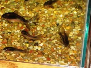 IMG_1255.jpg