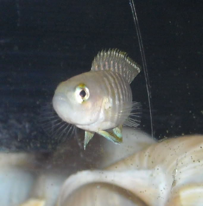 DSCN1227.jpg
