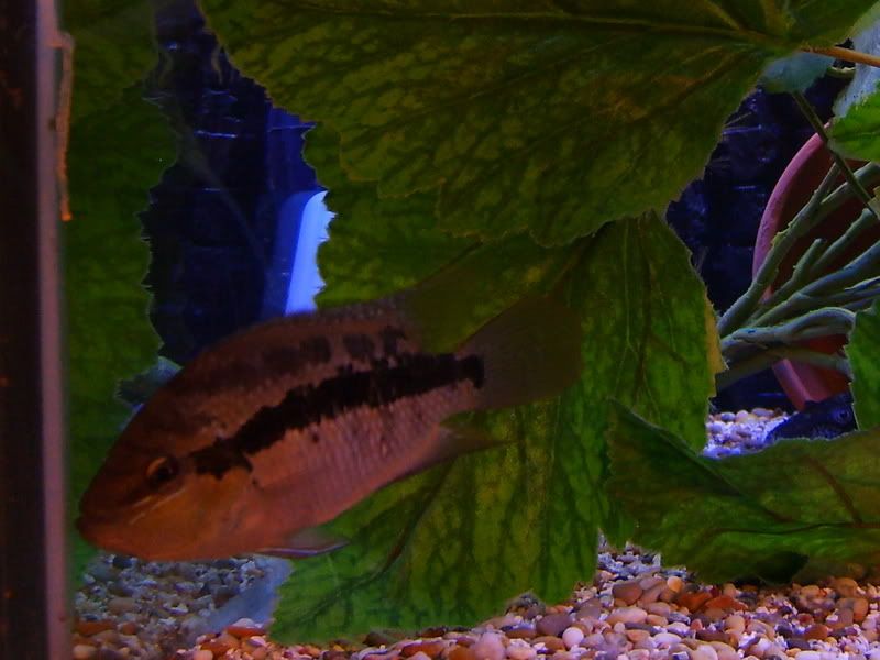 S5006549.jpg