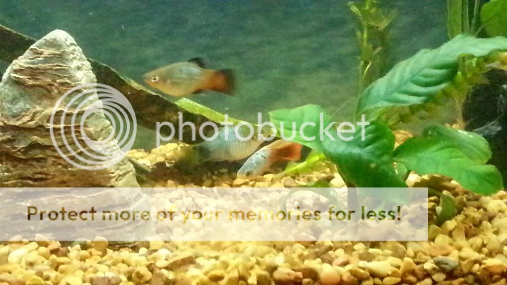 20121101_184225.jpg