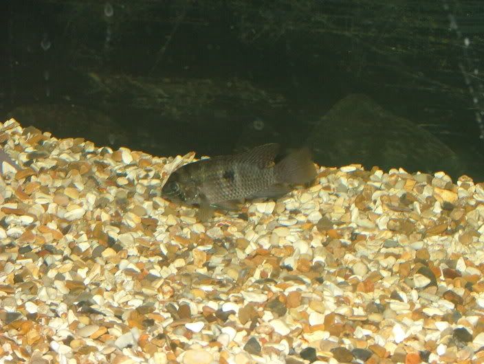 DSCF1901.jpg