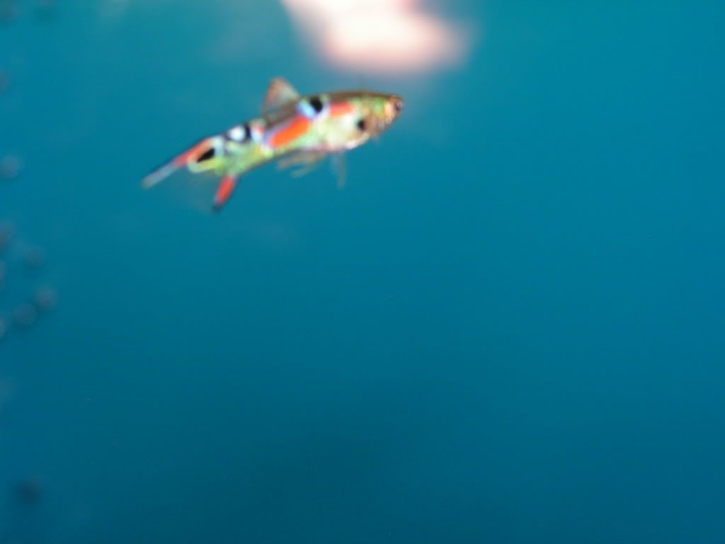 PICT0476.jpg