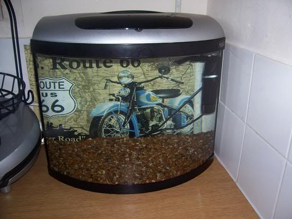 quarentinetank.jpg