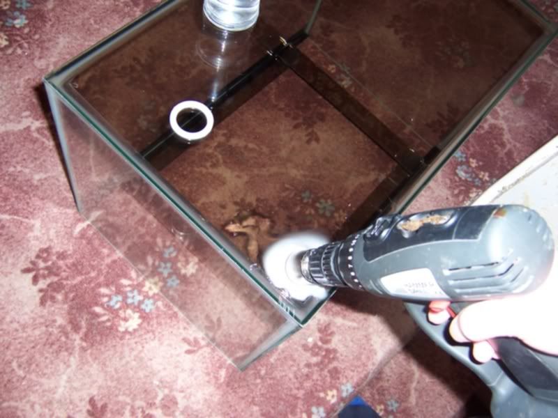 100_4876.jpg