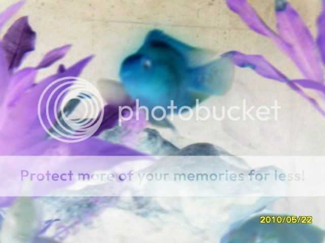 SDC14656.jpg