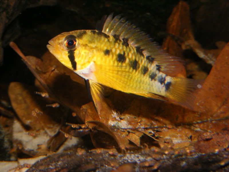 DSCF3196.jpg