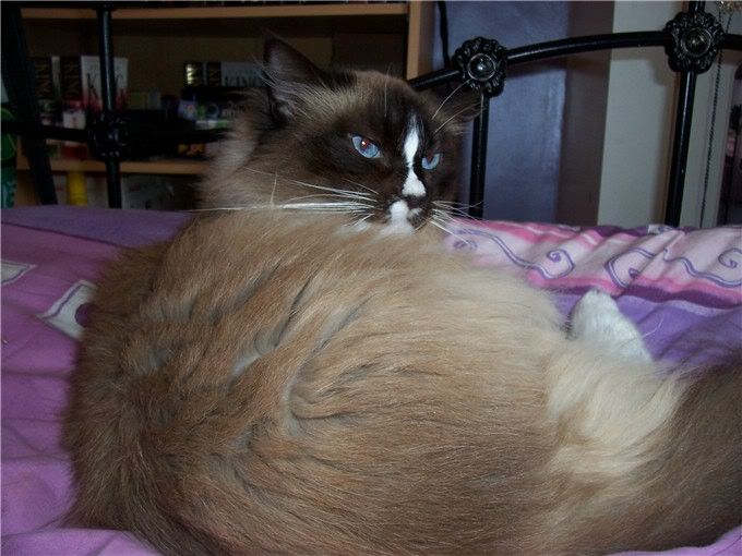 lucy010405.jpg