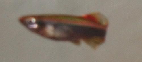 IMG_76282.jpg