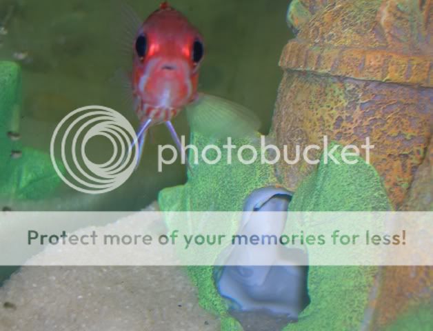 DSCN2635.jpg