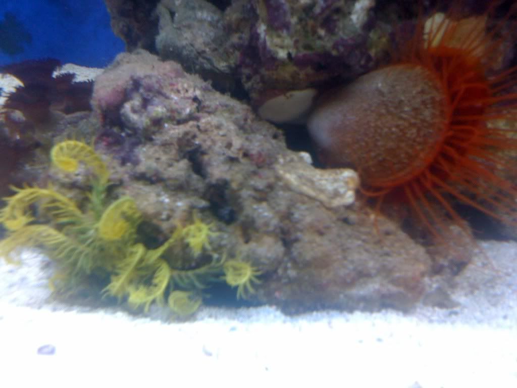 Picture001-1.jpg
