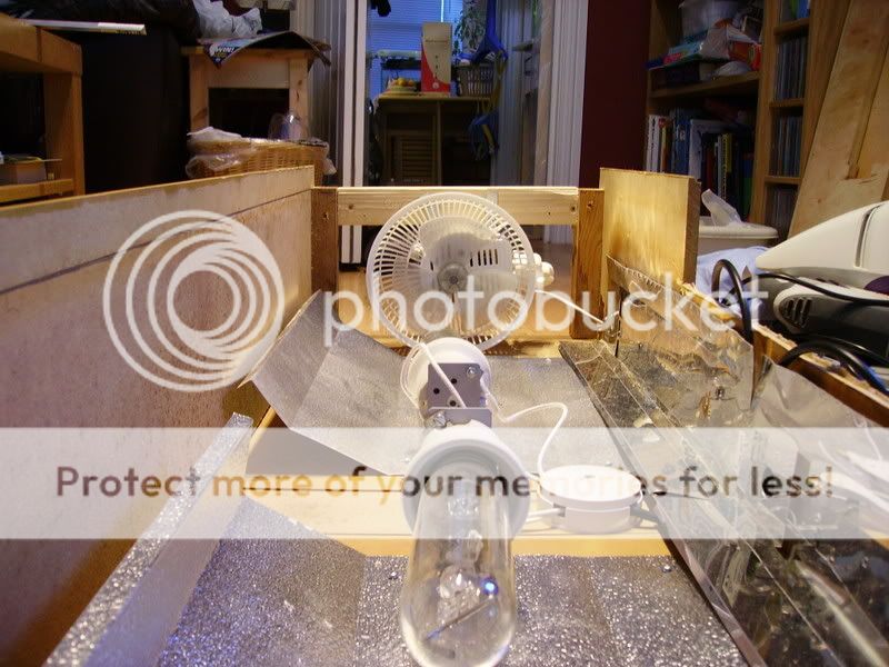 4footbuild073.jpg