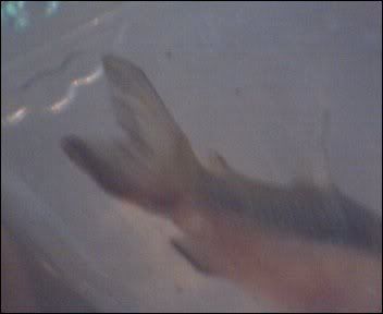 Cam00002-9.jpg