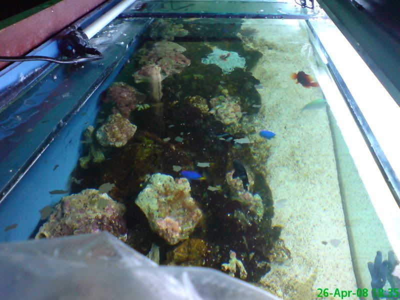 DSC00099.jpg