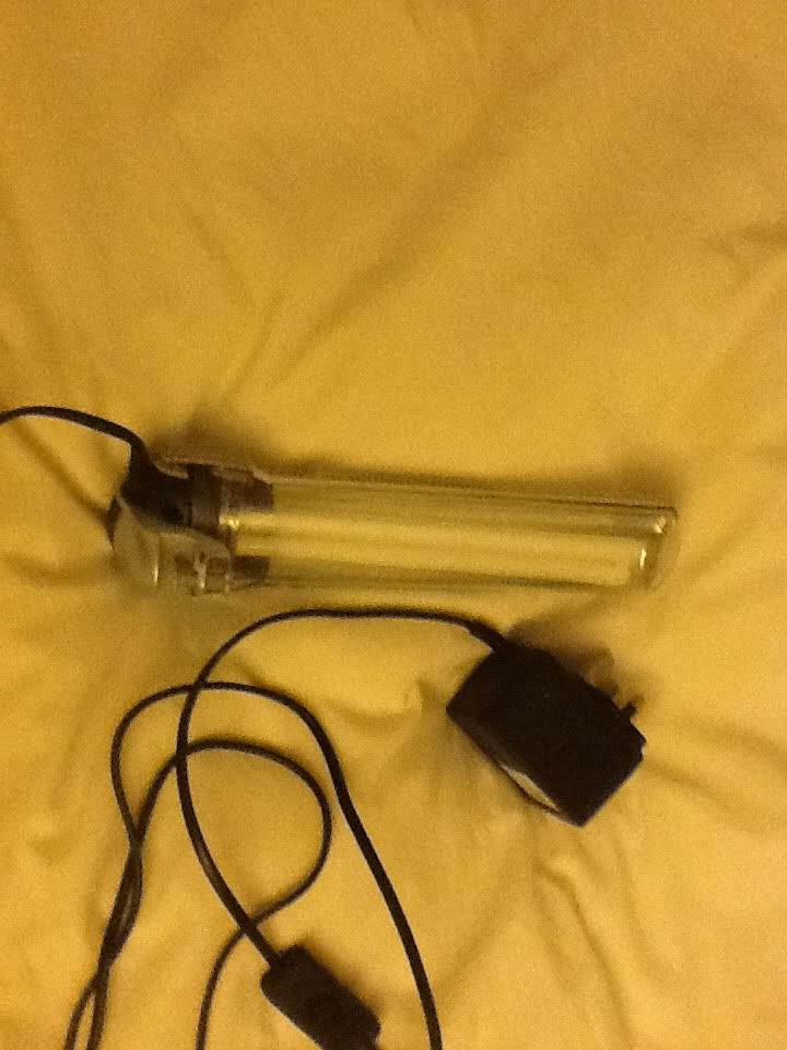 photo-9.jpg