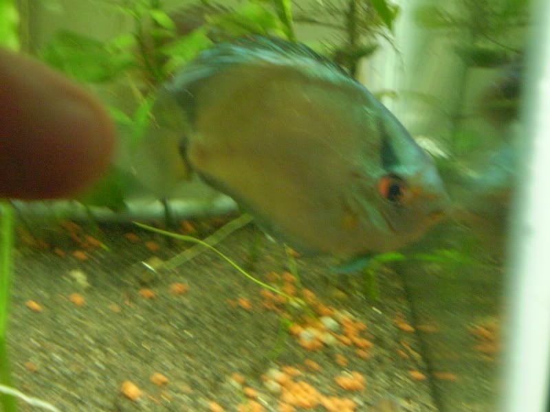 P9020112.jpg