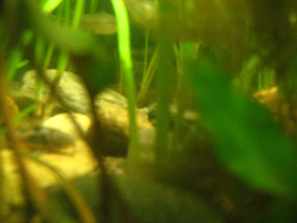 IMG_0027.jpg