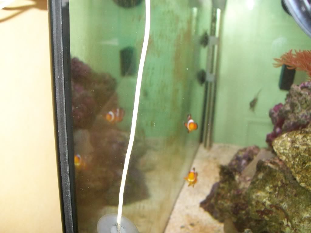 100_0722.jpg