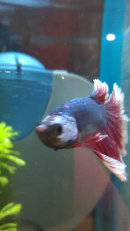 IMAG0317.jpg