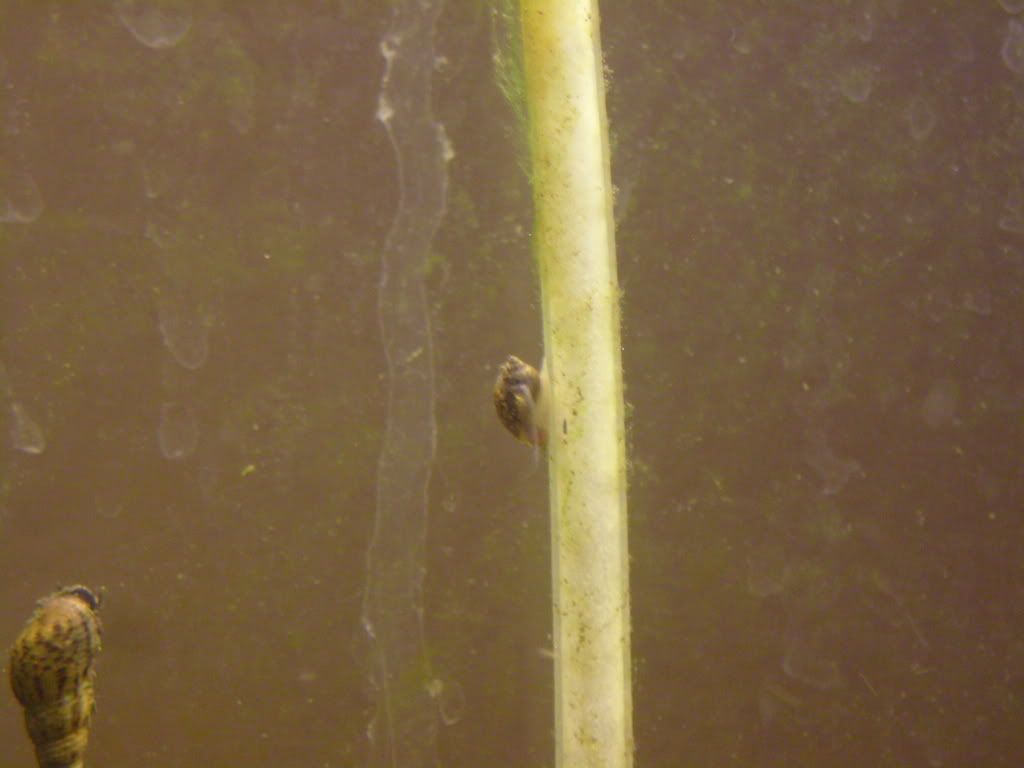 S7002443.jpg